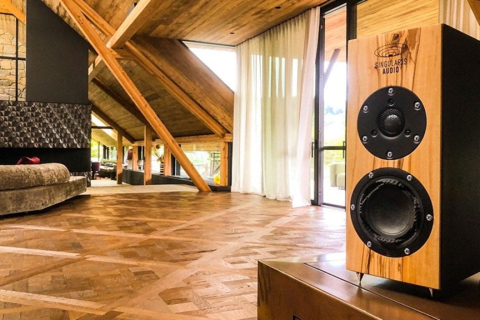singularis_audio_6